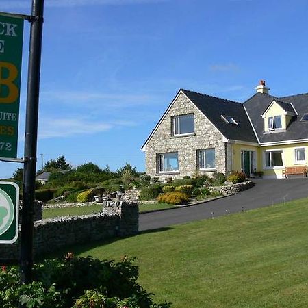 Ivy Rock House B&B Roundstone Exteriér fotografie